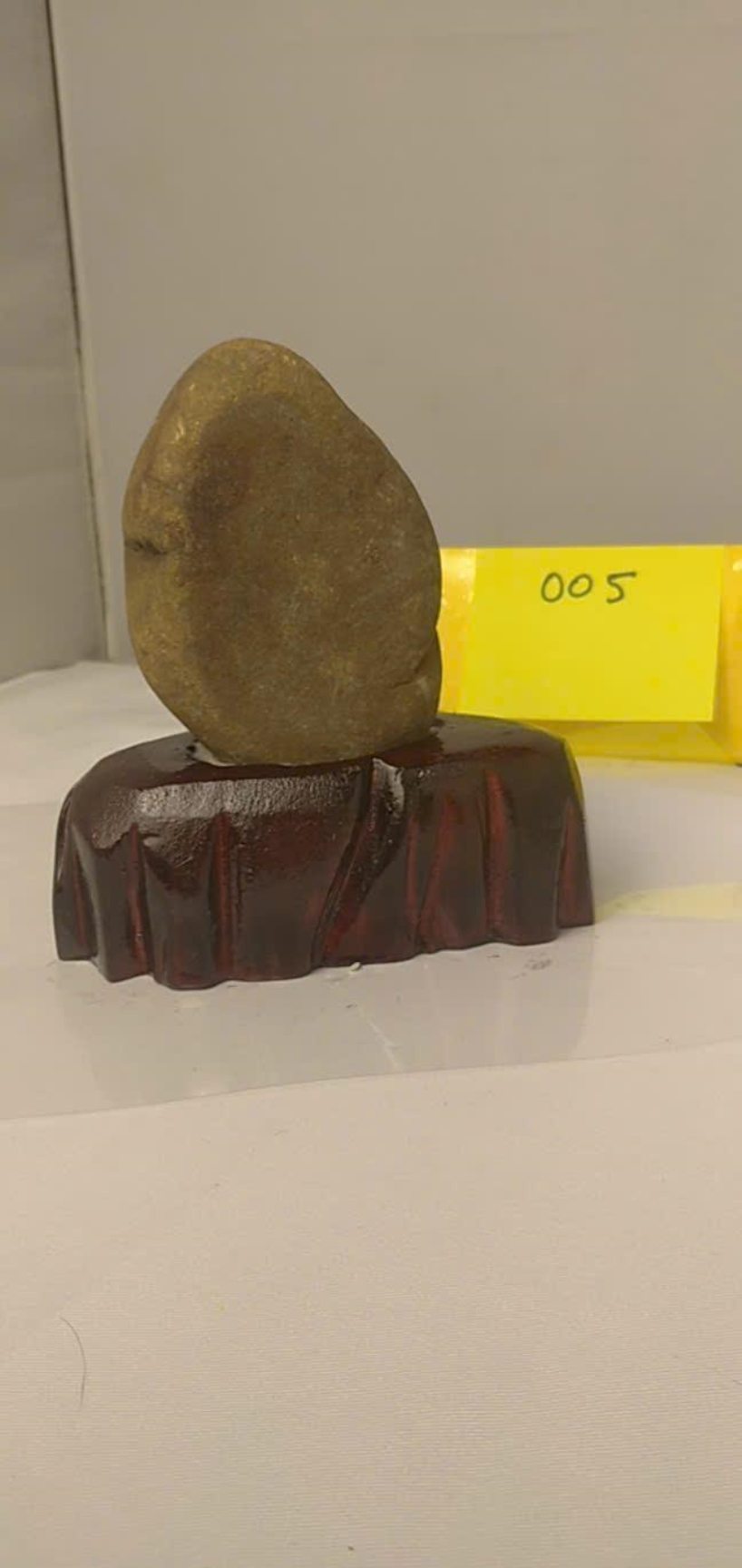 roi mây chữa bệnh gì